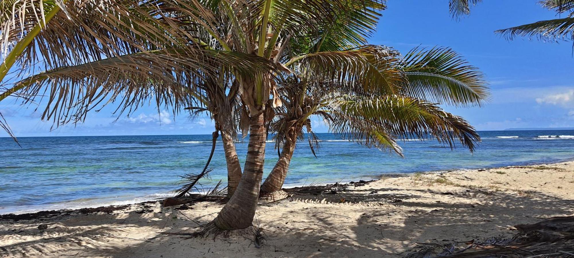Les Koki Villa Mojito Saint-Francois  Exteriör bild